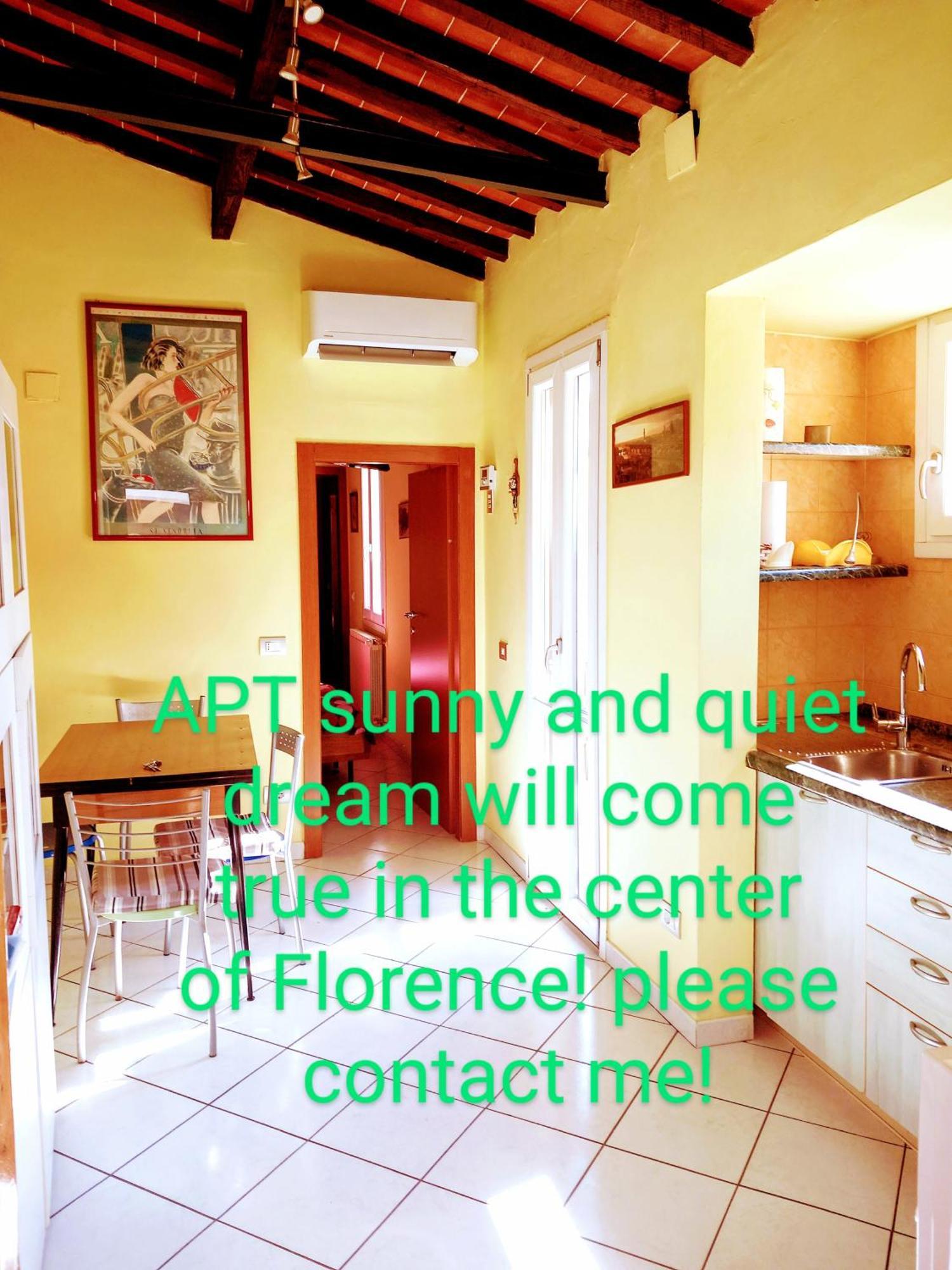 Apt Bright, Quiet! In The Center. Firenze Kültér fotó